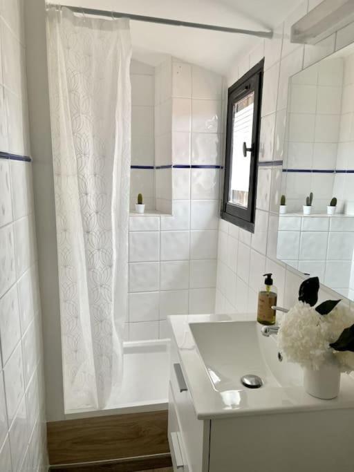 Studio Sous Les Toits Tres Bien Place Et Climatise Montpellier Exteriör bild